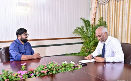 ރައީސަށް ސީދާ މަޝްވަރާ ހުށަހެޅޭނެ ނިޒާމެއް ގާއިމުކުރައްވަނީ