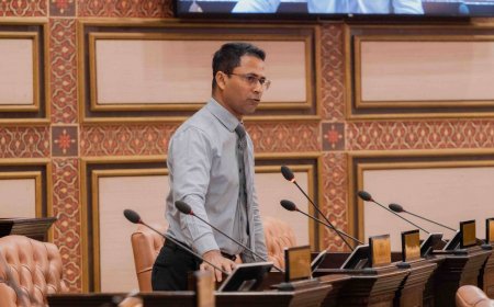 ވިތުހޯލްޑިން ޓެކްސް ބޮޑުކުރުމަކީ ދިވެހި ވިޔަފާރިތަކަށް ލިބޭނެ ރައްކާތެރިކަމެއް: މެންބަރު އިއްބެ