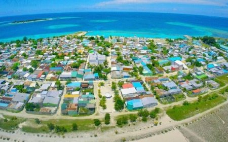ހިންނަވަރުގެ ރަށްވެހިކަން ދޫކޮށްލާ ނަމަ 2،000 ރުފިޔާގެ ފީއެއް ނަގަން ނިންމައިފި