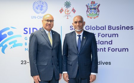ޕަލާއޫގެ މިނިސްޓަރ އޮފް ހިއުމަން ރިސޯސަސް، ކަލްޗަރ، ޓޫރިޒަމް އެންޑް ޑިވެލޮޕްމަންޓް، ރައީސުލްޖުމްހޫރިއްޔާގެ އަރިހަށް އިޙްތިރާމްގެ ޒިޔާރަތެއް ކުރައްވައިފި