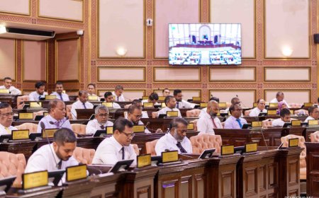 ބޭރުގެ ކޮންޓްރެކްޓަރުންގެ އަތުން ނަގާ ވިތުހޯލްޑިންގ ޓެކްސް %10އަށް ބޮޑުކުރަން މަޖިލީހުން ފާސްކޮށްފި