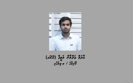 ކުޑަކުދިންގެ އޮރިޔާން ކާޑު ވިއްކި ކަމަށް ތުހުމަތުކުރި އަދްލާންގެ މައްޗަށް ކުރި ދައުވާތައް ޕީޖީން އަނބުރާ ގެންގޮސްފި