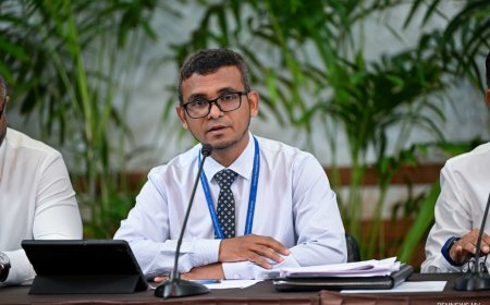 ބޭރު ފައިސާގެ ބޮޑު އާމްދަނީއެއް ލިބޭ ފަރާތްތަކުން ކަޅުބާޒާރުގައި ފައިސާ ދައުރުކުރޭ: އެމްއެމްއޭގެ ގަވަރުނަރު