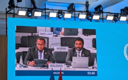ކުދި ޖަޒީރާ ޤައުމުތަކުގެ ބިން ހަލާކުވުމުގެ މައްސަލައަށް މާލީ އެހީތެރިކަން ބޭނުންވޭ: އެންވަޔަރަންމަންޓް މިނިސްޓަރ