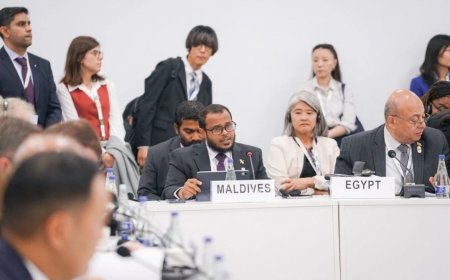 ތިމާވެށީގެ މާލީ އެހީގެ ނިޒާމުތައް ބައްޓަންކުރަންވާނީ ކުދި ޖަޒީރާ ޤައުމުތަކުގެ ހާލަތަށް ރިއާޔަތްކޮށް: ވަޒީރު ޢަލީ ޝަރީފް