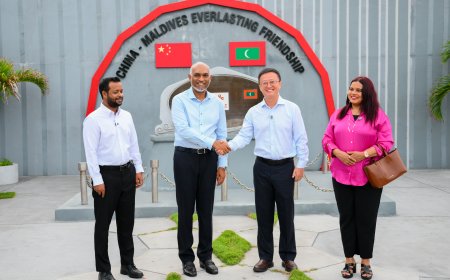 ރައީސުލްޖުމްހޫރިއްޔާ ޗައިނާ މޯލްޑިވްސް އެވަރލާސްޓިންގ ފްރެންޑްޝިޕް ޕާރކަށް ޒިޔާރަތްކުރައްވައިފި
