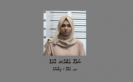 ވަގު ޑޮލަރު ގެންގުޅުނު އަންހެނަކު ޖަލަށްލުމަށް ކްރިމިނަލް ކޯޓުން ހުކުމްކޮށްފި