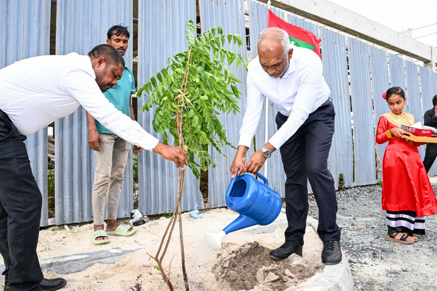 5 މިލިއަން ގަސް އިންދުމުގެ ޕްރޮގްރާމްގެ ދަށުން އއ. އުކުޅަހުގެ ގަސް އިންދުމުގެ ހަރަކާތުގައި ރައީސުލްޖުމްހޫރިއްޔާގެ ދެކަނބަލުން ބައިވެރިވެވަޑައިގެންފި