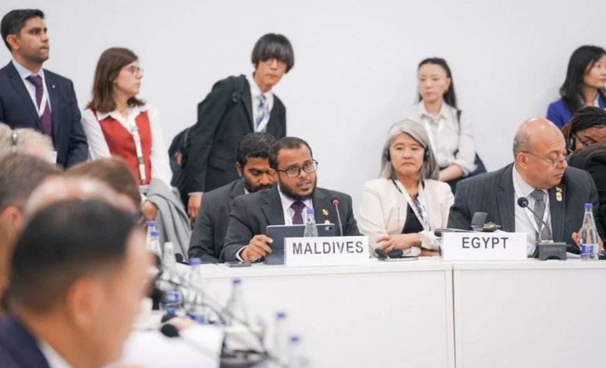 ތިމާވެށީގެ މާލީ އެހީގެ ނިޒާމުތައް ބައްޓަންކުރަންވާނީ ކުދި ޖަޒީރާ ޤައުމުތަކުގެ ހާލަތަށް ރިއާޔަތްކޮށް: ވަޒީރު ޢަލީ ޝަރީފް