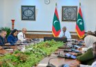 ނުކުޅެދުންތެރިކަން ހުންނަ ފަރާތްތަކުގެ ހައްގުތަކާ ގުޅޭ އިޚްތިޔާރީ ޕްރޮޓޮކޯލްގައި ރާއްޖެއިން ބައިވެރިވުމަށް ނިންމައިފި