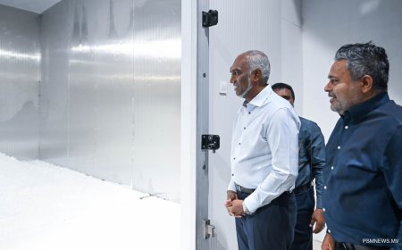 މިއަހަރު ނިމުމުގެ ކުރިން އިތުރު 7 އައިސްޕްލާންޓް އޮޕަރޭޝަނަށް ގެންނަނީ