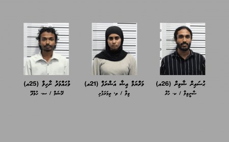 ގިނަ އަދަދެއްގެ މަސްތުވާތަކެއްޗާއެކު މާލެއިން ތިން މީހަކު ހައްޔަރުކޮށްފި
