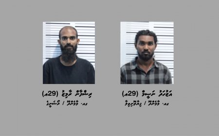 ގިނަ އަދަދެއްގެ މަސްތުވާތަކެއްޗާއެކު ޑްރަގް ނެޓްވޯކެއްގެ އިސް ދެ މީހަކު ހައްޔަރުކޮށްފި