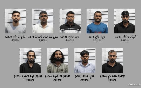 މަސްތުވާތަކެތީގެ ވިޔަފާރިކުރި ކަމުގެ ތުހުމަތުގައި މާލެއިން ބިދޭސީ 9 މީހަކު ހައްޔަރުކޮށްފި