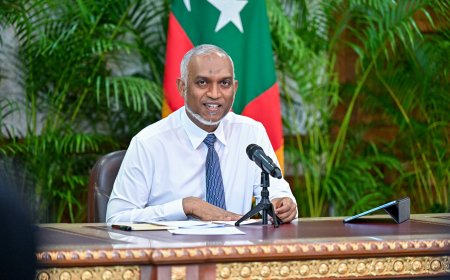 ކުންފުނިތައް ހިންގުން ހަރުދަނާކޮށް، ޚަރަދުކުޑަ ނިޒާމެއްގެ ދަށުން ޚިދުމަތް ފޯރުކޮށްދިނުމަށްޓަކައި ސަރުކާރު ހިއްސާވާ ބައެއް ކުންފުނިތައް އުވާލެއްވުމަށް ރައީސުލްޖުމްހޫރިއްޔާ ނިންމަވައިފި