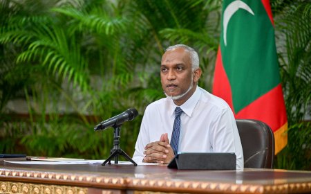 ދެމެހެއްޓެނެވި ގޮތެއްގައި އިޤްތީޞާދު ސިންދަފާތުކުރުމަށް ގިނަ މަސައްކަތްތަކެއް ދަނީ ކުރަމުން: ރައިސް