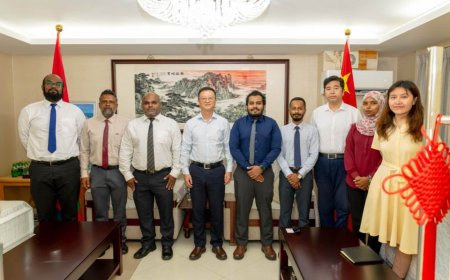 ސިނަމާލެ ބްރިޖު ބެލެހެއްޓުމުގެ ފަންނީ ތަމްރީނަށް ދިވެހި އިންޖިނިއަރުންގެ ޓީމެއް ޗައިނާއަށް ފުރަނީ