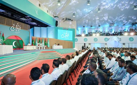 ޕީއެންސީގެ އާ އަސާސީ ގަވާއިދު މަތީ މަޖިލީހުގެ އިއްތިފާގުން ފާސްކޮށްފި