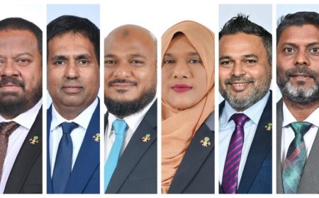 ޕީއެންސީގެ ނައިބު ރައީސްގެ މަގާމަށް 6 ބޭފުޅަކު އިންތިހާބުކޮށްފި