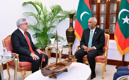 ތުރުކީވިލާތުގެ އޭކޭ ޕާޓީގެ ވަފުދެއް، ރައީސުލްޖުމްހޫރިއްޔާގެ އަރިހަށް އިޙްތިރާމުގެ ޒިޔާރަތެއް ކުރައްވައިފި