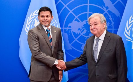 Vice President meets UN Secretary-General