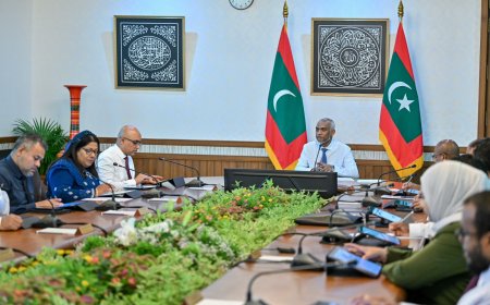 ނުކުޅެދުންތެރިކަން ހުންނަ ފަރާތްތަކުގެ ހައްގުތަކާ ގުޅޭ އިޚްތިޔާރީ ޕްރޮޓޮކޯލްގައި ރާއްޖެއިން ބައިވެރިވުމަށް ނިންމައިފި