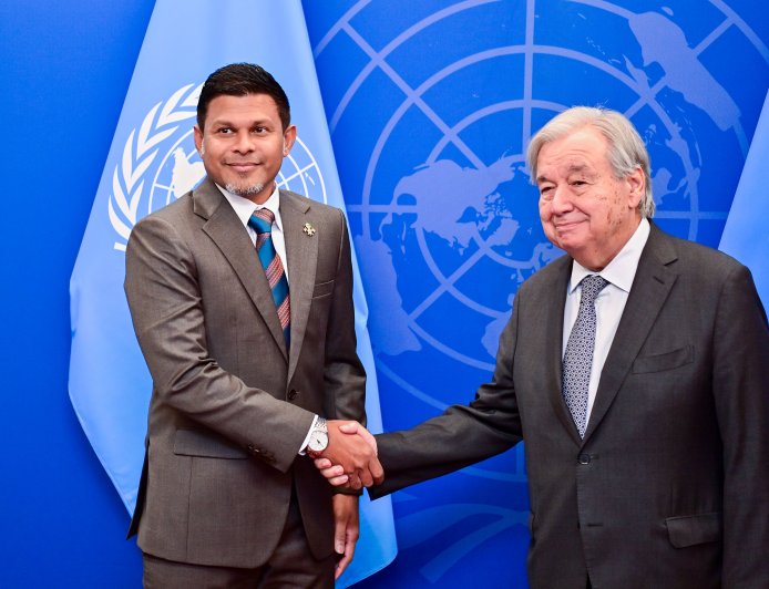 Vice President meets UN Secretary-General