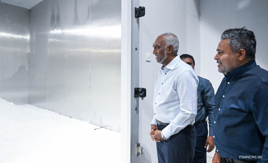 މިއަހަރު ނިމުމުގެ ކުރިން އިތުރު 7 އައިސްޕްލާންޓް އޮޕަރޭޝަނަށް ގެންނަނީ