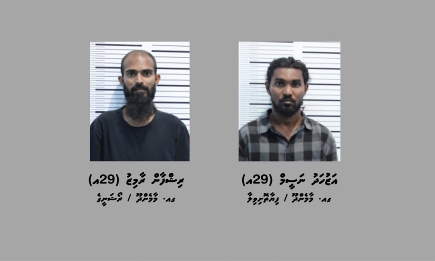 ގިނަ އަދަދެއްގެ މަސްތުވާތަކެއްޗާއެކު ޑްރަގް ނެޓްވޯކެއްގެ އިސް ދެ މީހަކު ހައްޔަރުކޮށްފި
