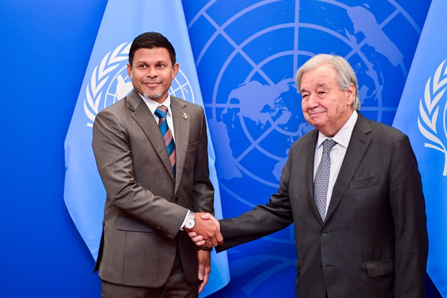 Vice President meets UN Secretary-General