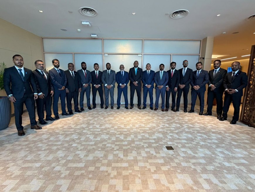 ޕީޕަލްސް ނޭޝަނަލް ކޮންގްރެސްގެ ޕާލިމެންޓްރީ ގުރޫޕުގެ ވަފުދެއް ޕާކިސްތާނަށް ވަޑައިގެންފި