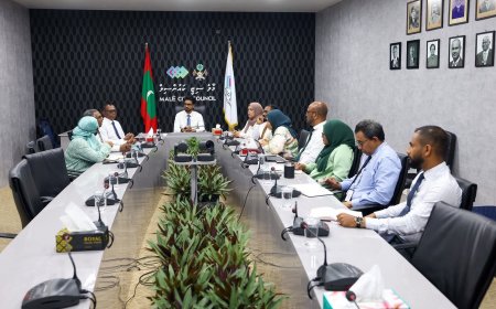 މާލޭގައި ދުންފަތުގެ އިސްތިއުމާލުކުރުން ކޮންޓްރޯލްކުރަން ޚާއްސަ ކިއޮސްކް ބެހެއްޓުމަށް މަޝްވަރާކޮށްފި