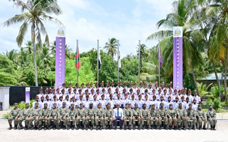 ދިވެހި ވަޠަނީ ޚިދުމަތުގެ ފަންނީ ތަމްރީނުގެ 2 ވަނަ ބެޗުން 73 ދަރިވަރަކު ދަސްވެނިވެއްޖެ