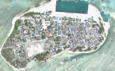 ގެސްޓްހައުސް އެޅުމަށް ތިމަރަފުށިން ފަސް ބިމެއް ކުއްޔަށް ދޫކުރަނީ