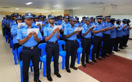 ފުލުހުންގެ ޚިދުމަތާ އަލަށް ގުޅުނު 133 ފުލުހުން ހުވާކޮށްފި