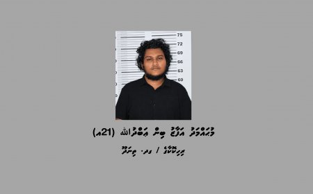 ތިނަދޫ ސިޓީގައި ބަނގުރާ އުފައްދައި ވިޔަފާރިކުރާކަމުގެ ތުހުމަތުގައި މީހަކު ހައްޔަރުކޮށްފި