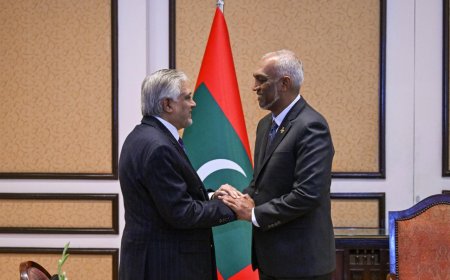 ޕާކިސްތާނުގެ ބޮޑުވަޒީރުގެ ނައިބު އަދި ޚާރިޖީ ވަޒީރު ރައީސުލްޖުމްހޫރިއްޔާގެ އަރިހަށް އިޙުތިރާމުގެ ޒިޔާރަތެއް ކުރައްވައިފި
