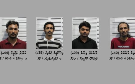 ވިލިމާލެއިން ހައްޔަރުކުރި ފިލްމީ ތަރިން ހިމެނޭ 4 މީހުން ދޫކޮށްލުމަށްފަހު ދަޢުވާކުރަން ޕީޖީއަށް ފޮނުވައިފި