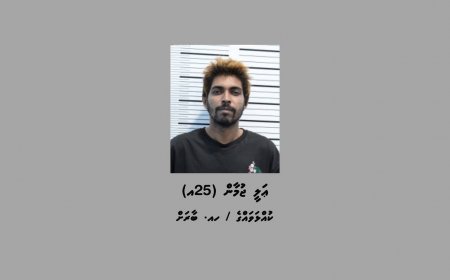 އިމާރާތްތަކާއި އުޅަނދުފަހަރުގައި ހުޅުޖަހައި އަދި  ރެޑްވޭވް ފިހާރަ ލޫޓުވަން ގޮވާލި މައްސަލައިގައި އެމްޑީޕީގެ އެކްޓިވިސްޓު ޖުމާން ހައްޔަރުކޮށްފި