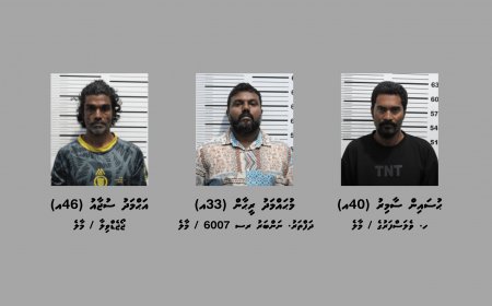 ސްކޭމްގެ މައްސަލައަކާ ގުޅިގެން ތިންމީހުން ހައްޔަރުކޮށްފި