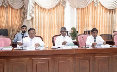 ބޯޓުތައް ބްރިޖުގައި ޖެހުނު މައްސަލަ: ތަންފީޒީ އިދާރާތަކުގެ ވެރިން ސަލާމަތީ ހިދުމަތްތަކާ ބެހޭ ކޮމިޓީއަށް ހާޒިރުކުރަން ހުށަހަޅައިފި