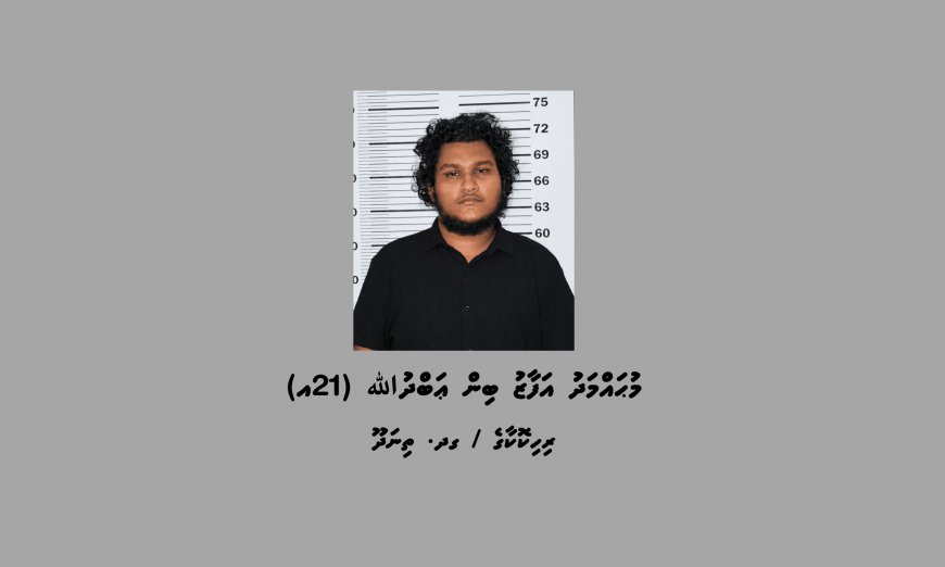 ތިނަދޫ ސިޓީގައި ބަނގުރާ އުފައްދައި ވިޔަފާރިކުރާކަމުގެ ތުހުމަތުގައި މީހަކު ހައްޔަރުކޮށްފި