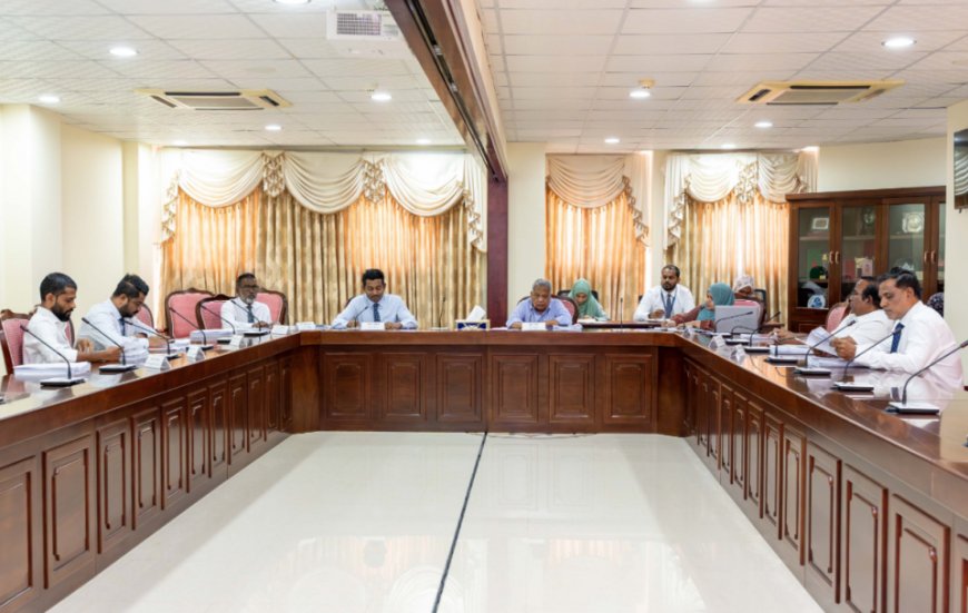 މުސާރައިގެ ކަންބޮޑުވުންތަކާ ގުޅިގެން ޕޭ ކޮމިޝަން މާލިއްޔަތު ކޮމިޓީއަށް ހާޒިރުކުރަނީ