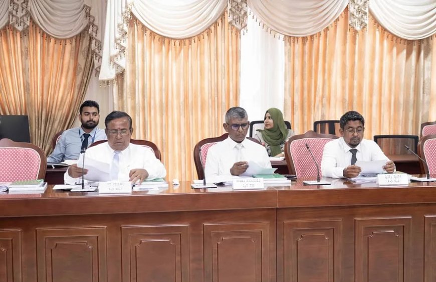 ބޯޓުތައް ބްރިޖުގައި ޖެހުނު މައްސަލަ: ތަންފީޒީ އިދާރާތަކުގެ ވެރިން ސަލާމަތީ ހިދުމަތްތަކާ ބެހޭ ކޮމިޓީއަށް ހާޒިރުކުރަން ހުށަހަޅައިފި
